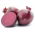 BIO Beetroot "Detroit 2" - seed tape - certified organic seeds