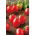 Tomato - Principe Borghese - Sweet, Fleshy Fruit - Fresh Seeds