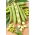 Broad bean "Bonus" - medium-early variety