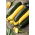 Courgette, Zucchini - a selection of varieties - Perfect for Fresh Salads and Cooking! - Fresh Seeds
