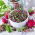 Sprouting seeds - Radish - China Rose - 100 g - Ready in 3-4 Days - Fresh Seeds
