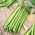 Bean "Esterka" - vỏ xanh, không dây, ngon - Phaseolus vulgaris L. - hạt