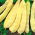 Fagiolo - Supernano Giallo - 25 semi - Phaseolus vulgaris L.