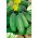 Timun "Julian" - pelbagai acar - TAPE SEED - 