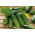 Cucumber "Kmicic" - pickling, bitterness-free variety - 105 seeds