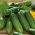 Cucumber "Kmicic" - pickling, bitterness-free variety - 105 seeds