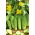 Polia, morenie uhorky "Rodos" - 225 semien - Cucumis sativus - semená