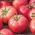Tomate "Berner Rose" - Zwergsorte für den Anbau  im Freiland oder unter Schutzabdeckungen