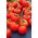 Tomate - Rumba Ożarowska - Lycopersicon esculentum Mill  - sementes