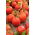 Tomate – Check - Lycopersicon esculentum Mill  - graines