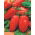 Tomaat - Marzano 2 - BIO - 225 zaden - Lycopersicum esculentum