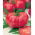 Pomodoro - VP1 F1 Pink King - serra - 12 semi - Lycopersicon esculentum Mill