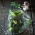 Timun "Julian" - pelbagai acar - TAPE SEED - 