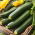 Squash - Black Beauty - 100 g - Mørkegrøn, tidlig sort - Friske frø
