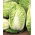 Napa cabbage "Polstar" - hybrid variety