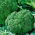 Broccoli "Ramoso Calabrese" - 