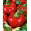 Paprika - Dumas - Capsicum L. - seemned