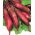 Beetroot - Alexis - Cylindrical Crimson Roots Ideal for Preserves - Fresh Seeds