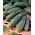 Pepino - Fason F1 - 175 semillas - Cucumis sativus