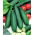 Pepino - Ines F1 - invernadero - 35 semillas - Cucumis sativus