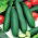 Pepino - Ines F1 - invernadero - 35 semillas - Cucumis sativus