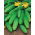 Cucumber "Lokata F1" - a disease resistant variety that does not overgrow - 175 seeds