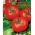 Tomate 'Sabała' - Freilandtomate mit der kompakten, dichten Wuchsform