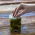 Glas mit Deckel und Drückerplatte - 346 ml - 6 Stk - 
