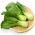 Pak-Choi - Joi Choi - Krispiga, mjälla blad, utmärkt i många rätter - Färska frön