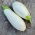 Aubergine 'White Egg'; Eierfrucht
