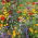 Bee Friendly - markant planudvælgelse - 1 kg - 