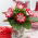 Gloxinia "Tigrinia Red" - wit-rode, gespikkelde bloemen; Canterbury klokken, echte gloxinia - 