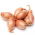 Cipollotto - scalogno - 10 kg; cipolla verde, eschalot - 
