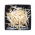 BIO Sprouting seeds - Mung bean - certified organic seeds