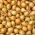 Bawang Spring Stuttgarter - 0,5 kg - 