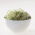 Semi BIO Sprouting - Enotera - semi biologici certificati; crema solare, sundrops - 