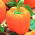Sladký pomerančový pepř „Etude“ - 10 g -  Capsicum annuum - semena
