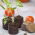 Expandierende Torfpellets 44 mm - 996 Stk - 