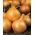 Cipolla - Wolska - Cipolle a raccolta tardiva, perfette per conservazione - Semi Freschi