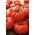Pomodoro - Jutrosz -  Lycopersicon esculentum - Jutrosz - semi