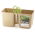Square herbs pot, double - Twins Cube - 24 x 11 cm - Milk Coffee