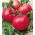 Tomaatti - Raspberry Field - Lycopersicum esculentum  - siemenet