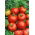 Tomate - Moneymaker - Alta, variedad temprana, rojo vivo, fruto grande - Semillas frescas
