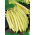 Pole yellow French bean "Monte Gusto"