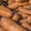 Morcov furajer "Krystyna" - 500 g - 