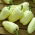 Paprikát - PCR - Capsicum L. - magok