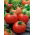 BIO Paradicsom - ACE 55 VF - 180 magok - Lycopersicon esculentum Mill