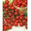 Körsbärstomat - Red Temptation  - 480 frön - Lycopersicon esculentum Mill