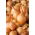 Bawang Spring "Wolska" - 0,5 kg; bawang hijau - 
