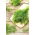 Tilli – Emerald - 2800 siemenet - Anethum graveolens L.